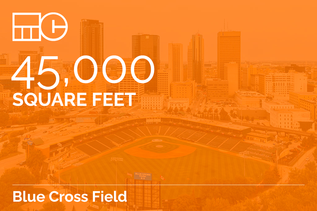 Blue Cross Field