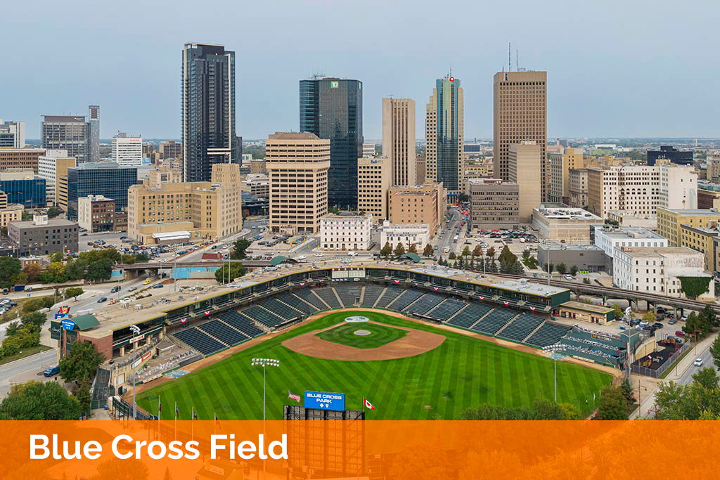 Blue Cross Field
